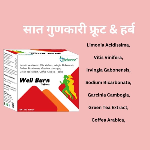 Well Burn Tablets Wellmore