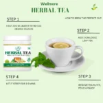 Herbal Green Tea Wellmore
